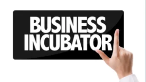startup incubator meaning